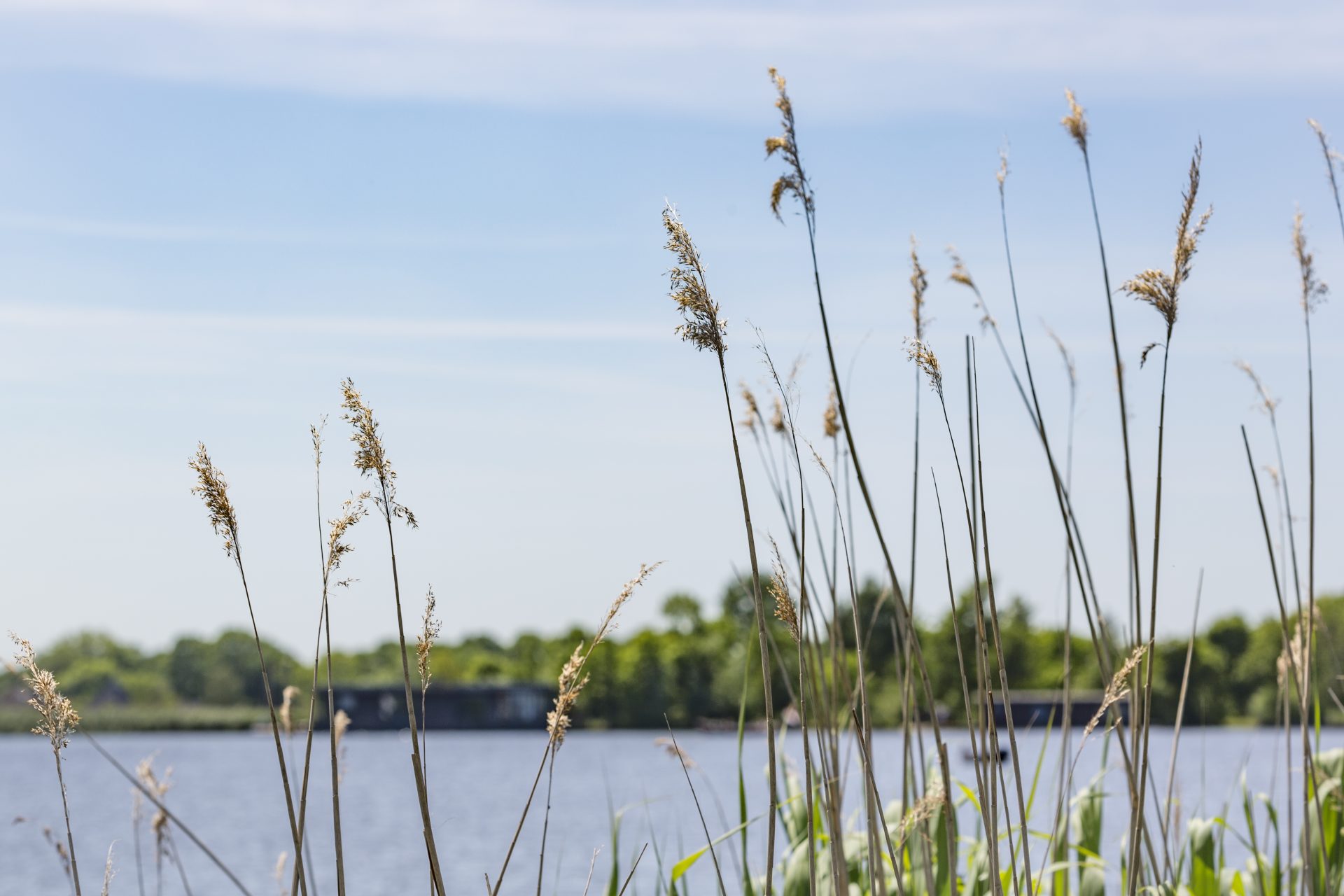 Monitoring waterkwaliteit Ir. G. Tjalmaweg N206 gestart