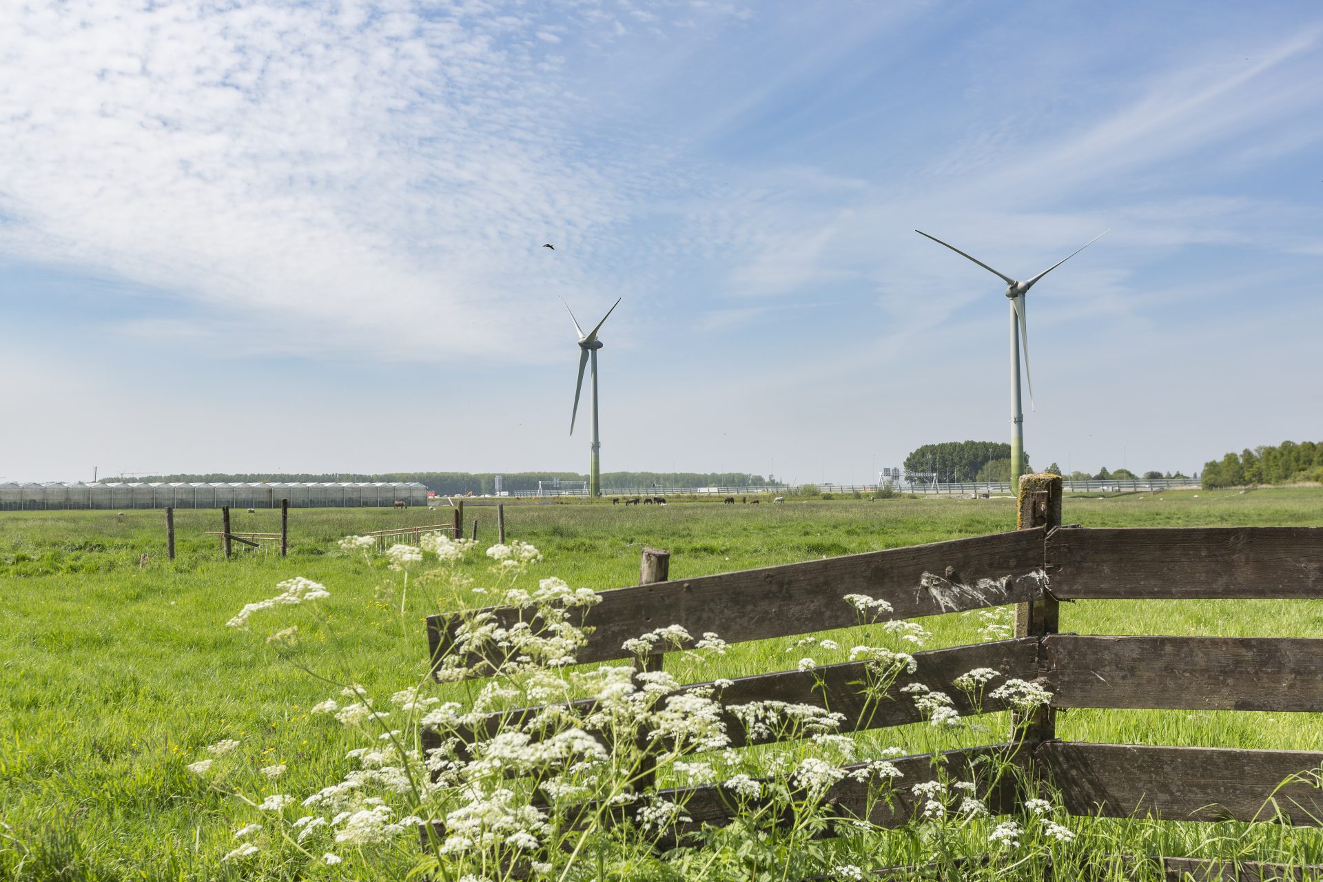 Toetsing wetgeving en advisering ecologie