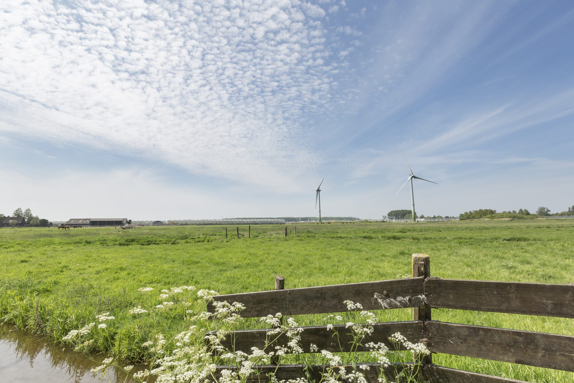 Een terugblik op 2022: publieksversie van het jaarverslag