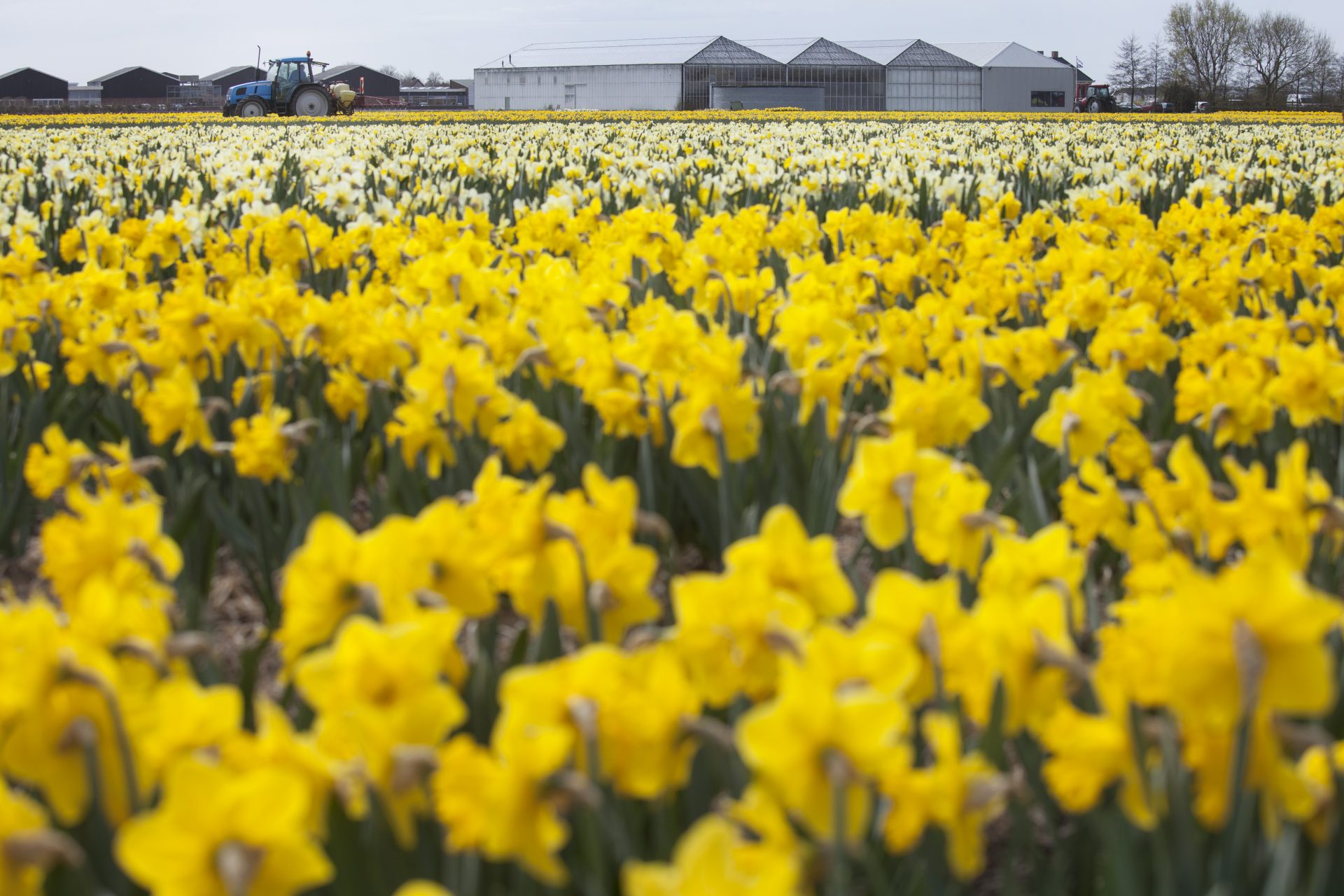 Gemeente Leiderdorp wint de EZK Energy Award 2021 voor gemeenten