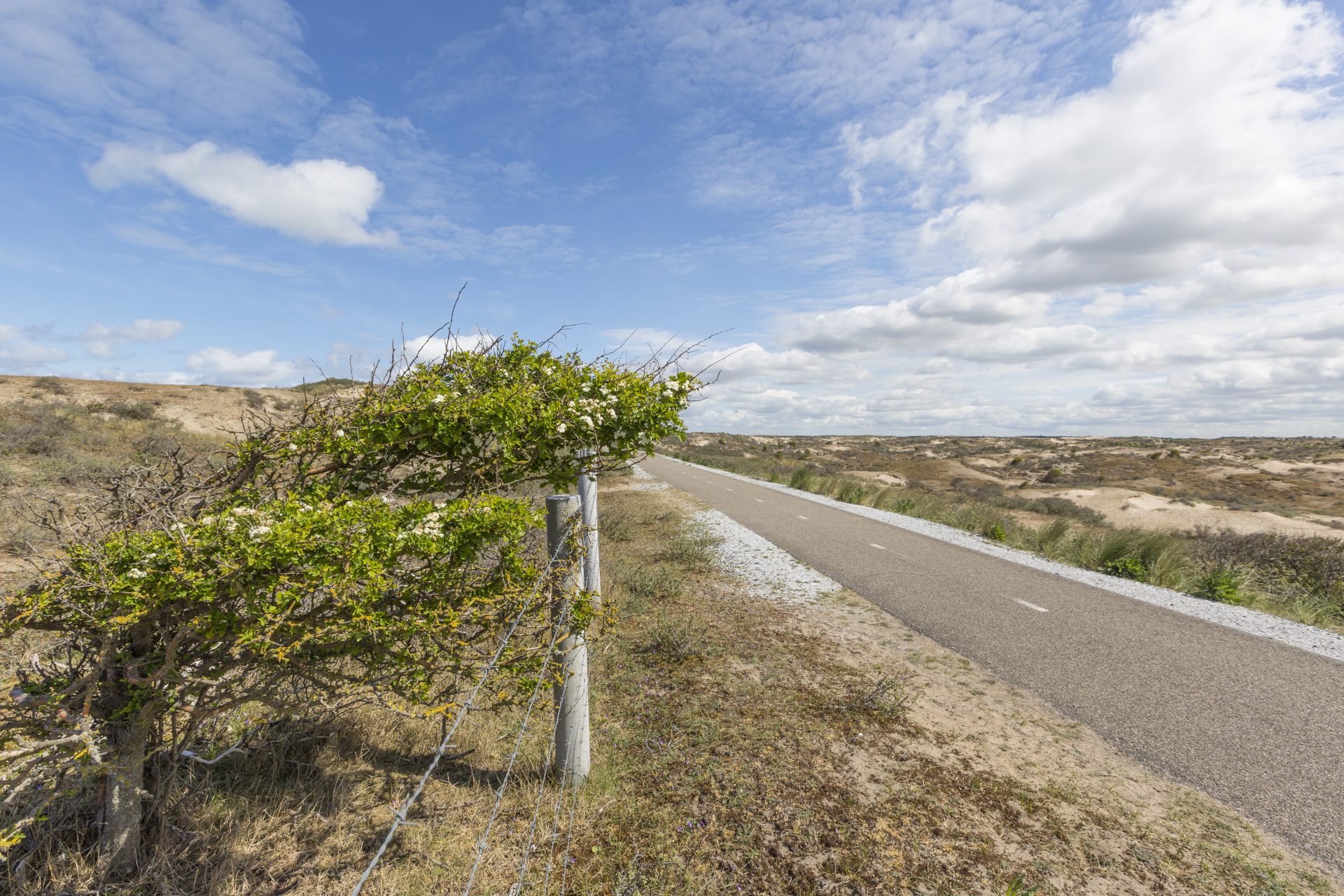 Wet open overheid (Woo) treedt op 1 mei 2022 in werking