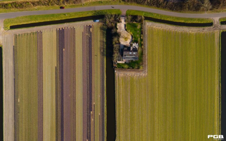Dronebeeld bloemenvelden