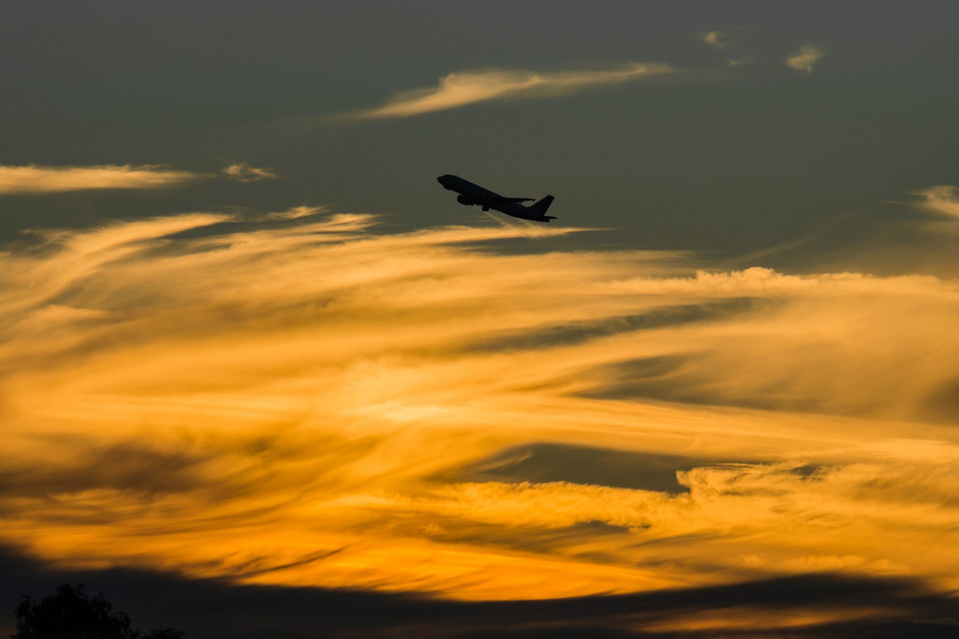 vliegtuig, schiphol,