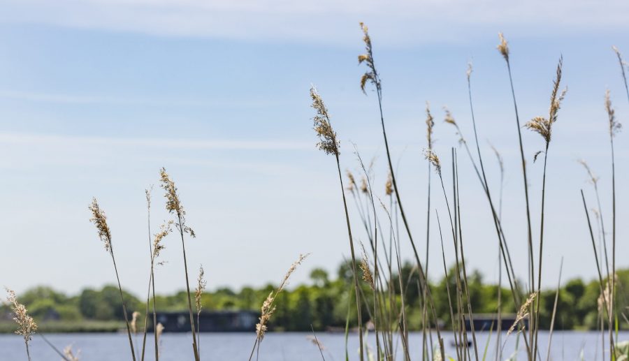 Toezicht op lozen afvalwater