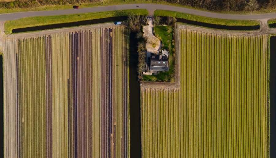 Toezichthouden vanuit de lucht